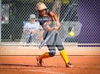 Photo from the gallery "Skyline @ Mesa"