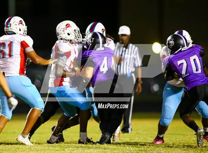 Thumbnail 3 in King vs. Spoto photogallery.