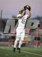Photo from the gallery "El Dorado @ Foothill"