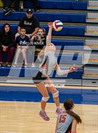 Photo from the gallery "Eldorado @ Santa Fe"