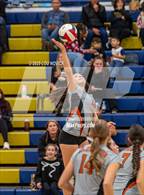 Photo from the gallery "Eldorado @ Santa Fe"