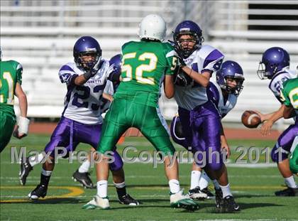 Thumbnail 2 in Righetti @ St. Joseph photogallery.