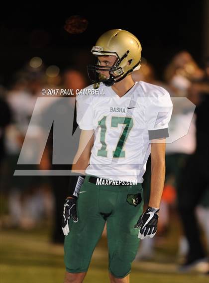 Thumbnail 3 in Basha @ Desert Mountain photogallery.