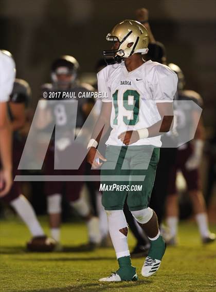 Thumbnail 3 in Basha @ Desert Mountain photogallery.