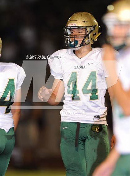 Thumbnail 2 in Basha @ Desert Mountain photogallery.