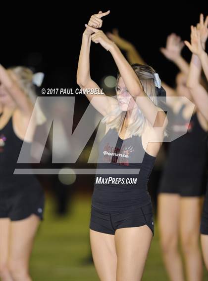 Thumbnail 1 in Basha @ Desert Mountain photogallery.