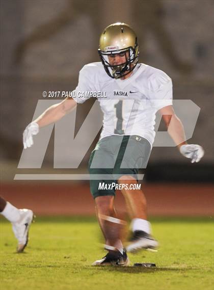 Thumbnail 3 in Basha @ Desert Mountain photogallery.