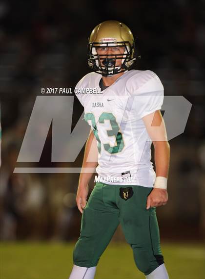 Thumbnail 2 in Basha @ Desert Mountain photogallery.
