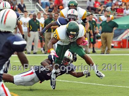 Thumbnail 1 in University @ Chaminade-Madonna photogallery.