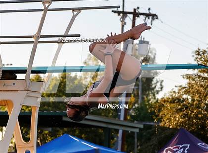 Thumbnail 3 in AIA Division II Diving State Championships (Semi-Finals) photogallery.