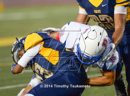 Thumbnail 1 in Reno @ Inderkum photogallery.