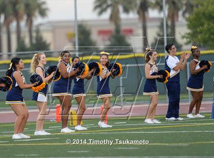 Thumbnail 3 in Reno @ Inderkum photogallery.