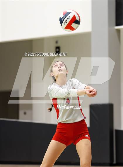 Thumbnail 3 in Whitewright vs. Alba-Golden photogallery.
