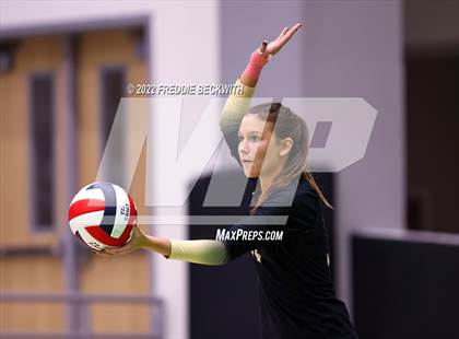 Thumbnail 3 in Whitewright vs. Alba-Golden photogallery.