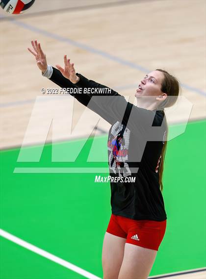 Thumbnail 2 in Whitewright vs. Alba-Golden photogallery.