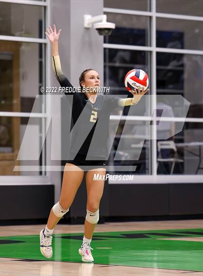 Thumbnail 1 in Whitewright vs. Alba-Golden photogallery.