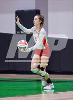Photo from the gallery "Whitewright vs. Alba-Golden"