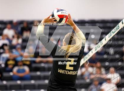 Thumbnail 3 in Whitewright vs. Alba-Golden photogallery.