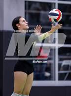 Photo from the gallery "Whitewright vs. Alba-Golden"