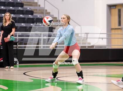 Thumbnail 2 in Whitewright vs. Alba-Golden photogallery.