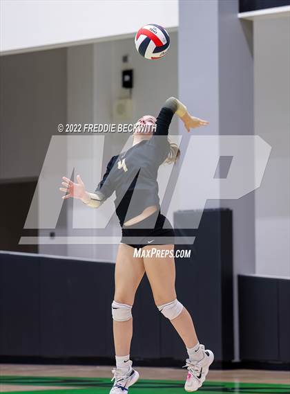 Thumbnail 2 in Whitewright vs. Alba-Golden photogallery.