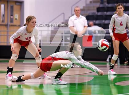 Thumbnail 1 in Whitewright vs. Alba-Golden photogallery.