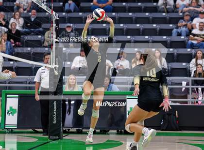 Thumbnail 3 in Whitewright vs. Alba-Golden photogallery.