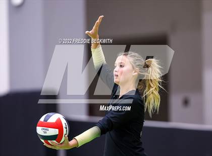 Thumbnail 1 in Whitewright vs. Alba-Golden photogallery.