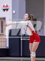 Photo from the gallery "Whitewright vs. Alba-Golden"