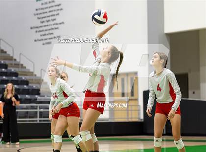 Thumbnail 2 in Whitewright vs. Alba-Golden photogallery.