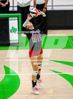 Photo from the gallery "Whitewright vs. Alba-Golden"