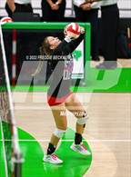 Photo from the gallery "Whitewright vs. Alba-Golden"