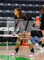 Photo from the gallery "Whitewright vs. Alba-Golden"