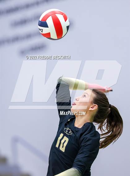Thumbnail 1 in Whitewright vs. Alba-Golden photogallery.