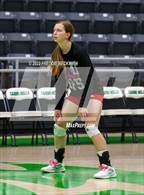 Photo from the gallery "Whitewright vs. Alba-Golden"
