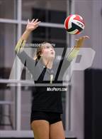 Photo from the gallery "Whitewright vs. Alba-Golden"