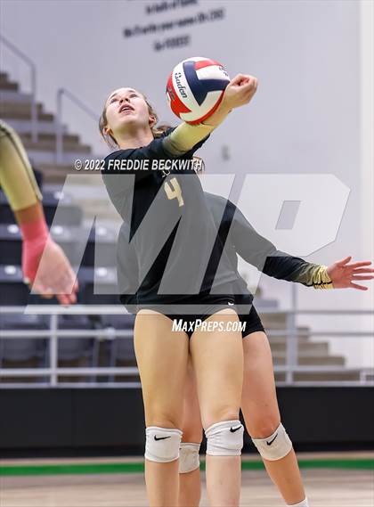 Thumbnail 2 in Whitewright vs. Alba-Golden photogallery.
