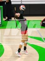 Photo from the gallery "Whitewright vs. Alba-Golden"
