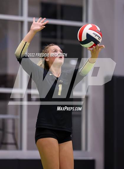 Thumbnail 2 in Whitewright vs. Alba-Golden photogallery.
