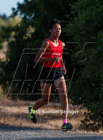 Thumbnail 1 in American @ James Logan photogallery.