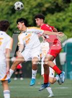Photo from the gallery "Stamford @ New Canaan"