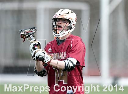 Thumbnail 2 in Arlington @ Pleasantville photogallery.