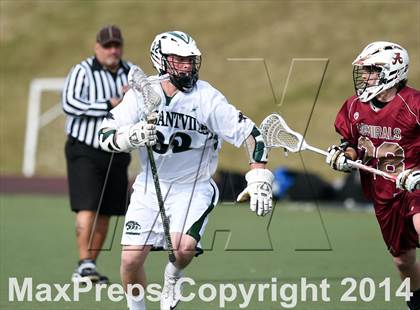 Thumbnail 2 in Arlington @ Pleasantville photogallery.