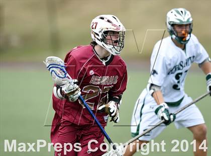Thumbnail 1 in Arlington @ Pleasantville photogallery.