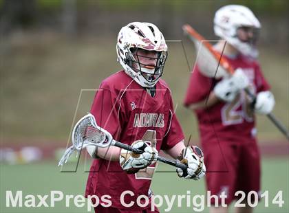 Thumbnail 1 in Arlington @ Pleasantville photogallery.