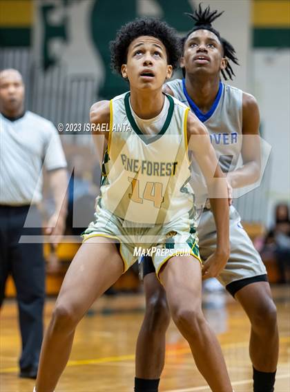 Thumbnail 3 in Westover @ Pine Forest photogallery.