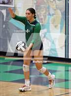 Photo from the gallery "Mountain Vista @ ThunderRidge"