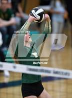 Photo from the gallery "Mountain Vista @ ThunderRidge"