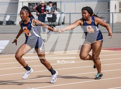 Thumbnail 3 in Herd Roundup @ Elk Grove photogallery.