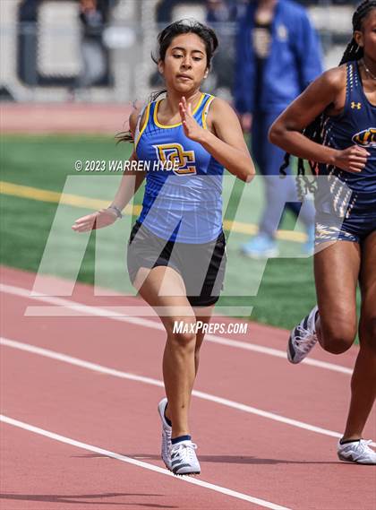 Thumbnail 2 in Herd Roundup @ Elk Grove photogallery.